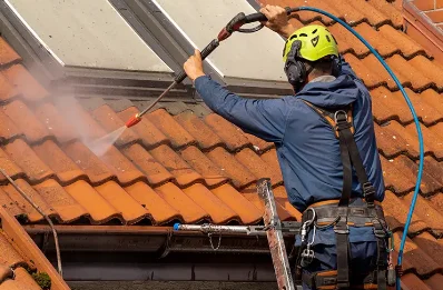 Démoussage et hydrofuge de toiture à Ventron
